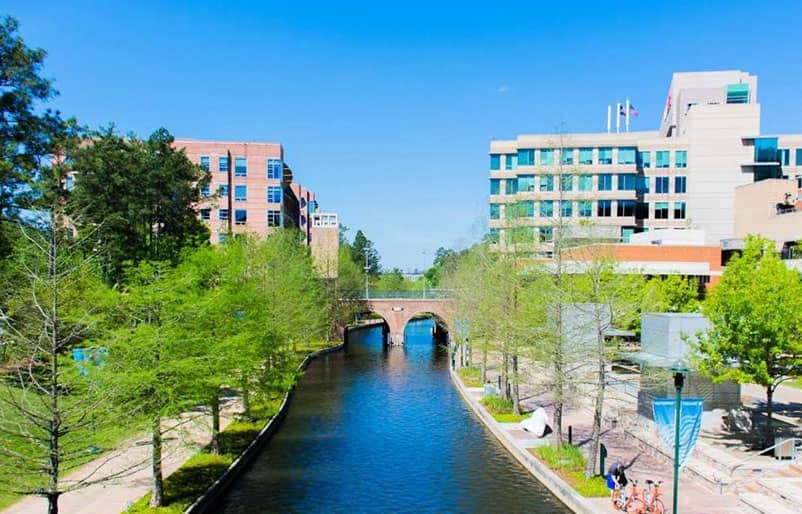 The Woodlands